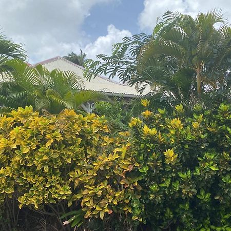 Bungalow Belfond Plage Pointe Marin Sainte-Anne Dış mekan fotoğraf