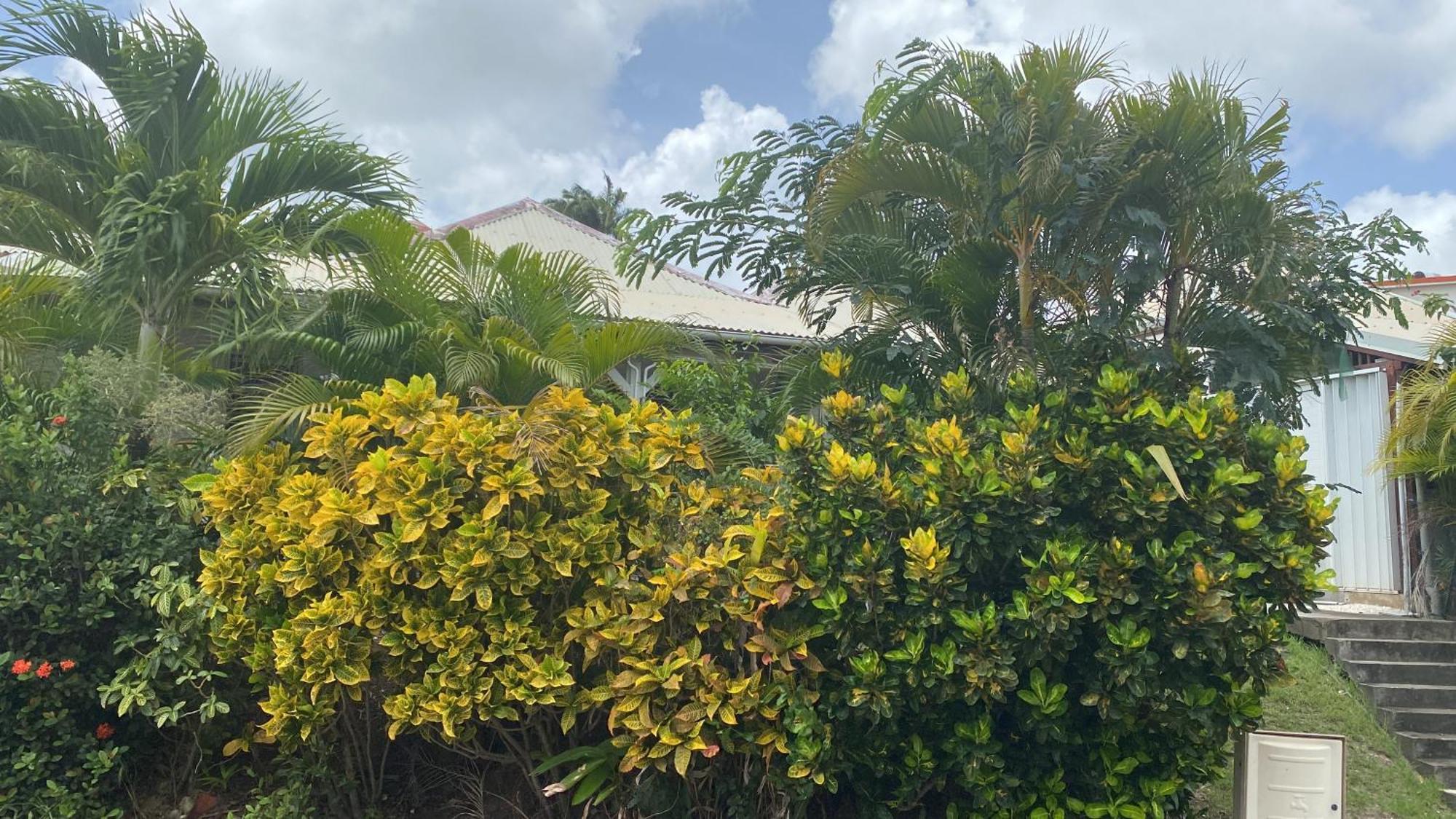 Bungalow Belfond Plage Pointe Marin Sainte-Anne Dış mekan fotoğraf